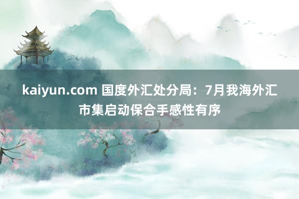 kaiyun.com 国度外汇处分局：7月我海外汇市集启动保合手感性有序