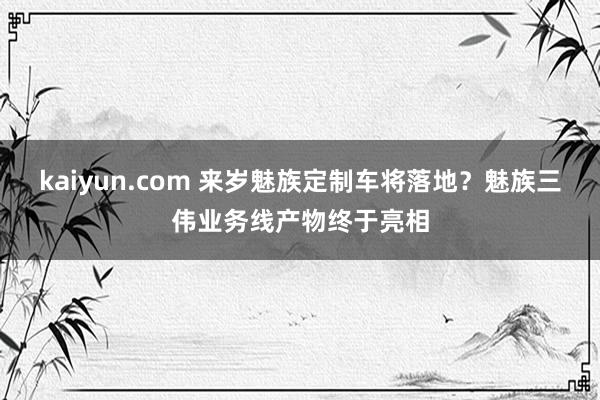 kaiyun.com 来岁魅族定制车将落地？魅族三伟业务线产物终于亮相