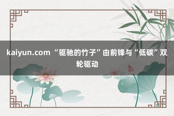 kaiyun.com “驱驰的竹子”由前锋与“低碳”双轮驱动