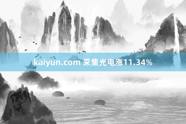 kaiyun.com 采集光电涨11.34%