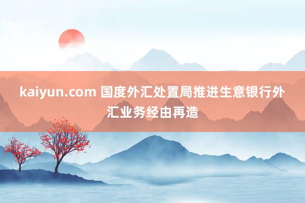 kaiyun.com 国度外汇处置局推进生意银行外汇业务经由再造