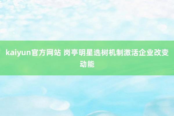 kaiyun官方网站 岗亭明星选树机制激活企业改变动能