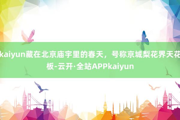 kaiyun藏在北京庙宇里的春天，号称京城梨花界天花板-云开·全站APPkaiyun