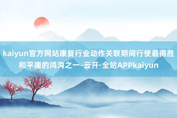 kaiyun官方网站康复行业动作关联期间行使最得胜和平庸的鸿沟之一-云开·全站APPkaiyun