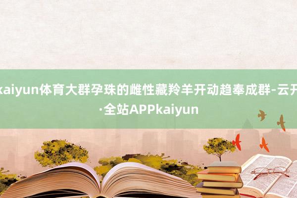 kaiyun体育大群孕珠的雌性藏羚羊开动趋奉成群-云开·全站APPkaiyun