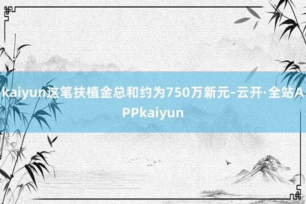 kaiyun这笔扶植金总和约为750万新元-云开·全站APPkaiyun